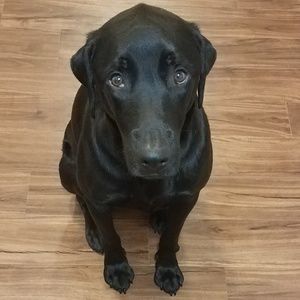 Meet your Posher, Ben